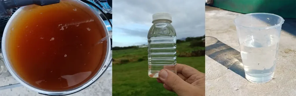 “Southern Cape Brown Water” – before, during and after Maxadox treatment