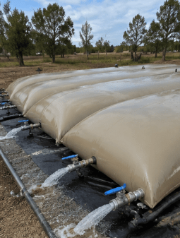 Multiple interconnected PVC water bladders draining simultaneously for high-volume water distribution.